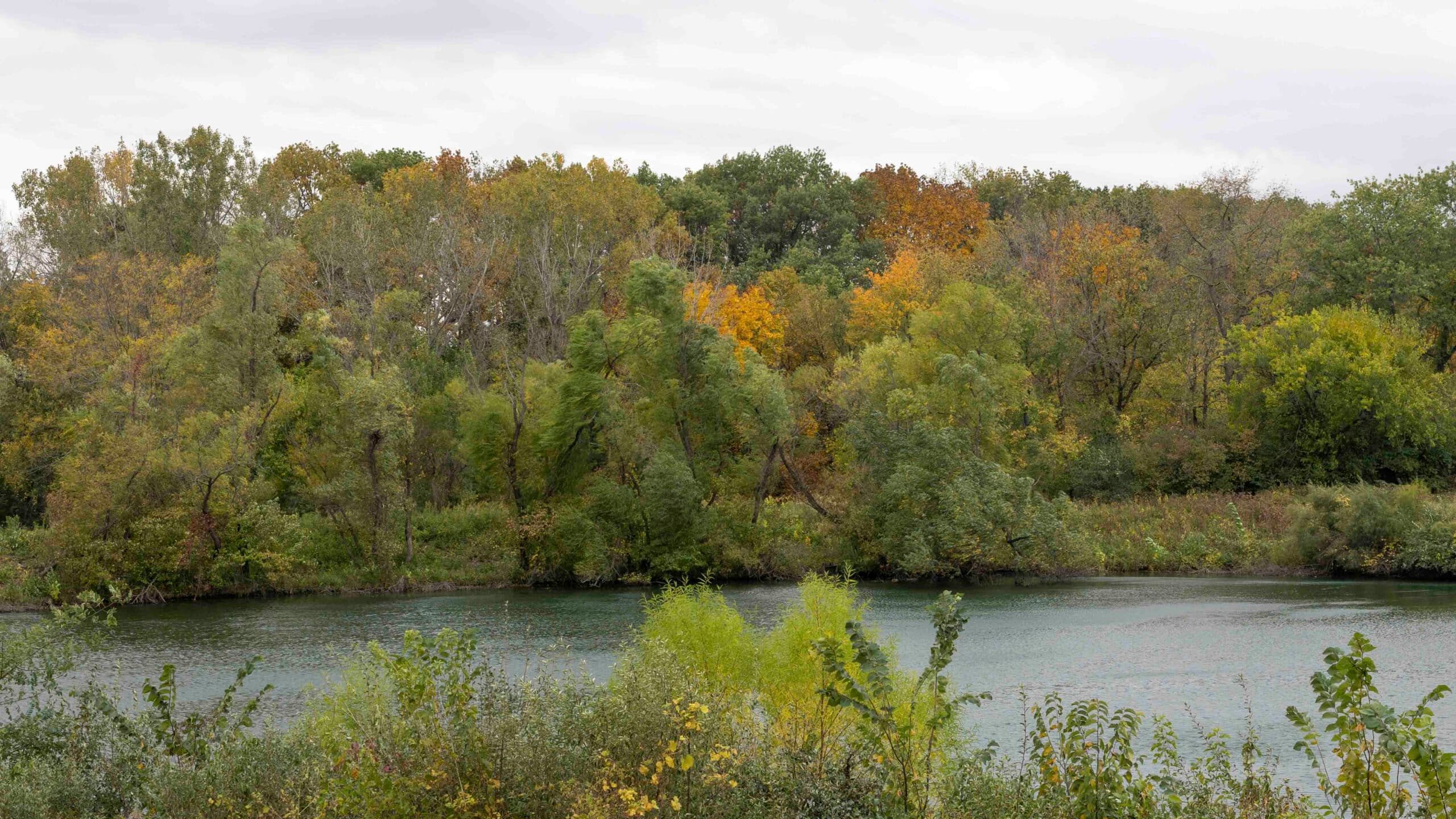 A calm river lined with trees turning autumn colours under an overcast Iowa sky.