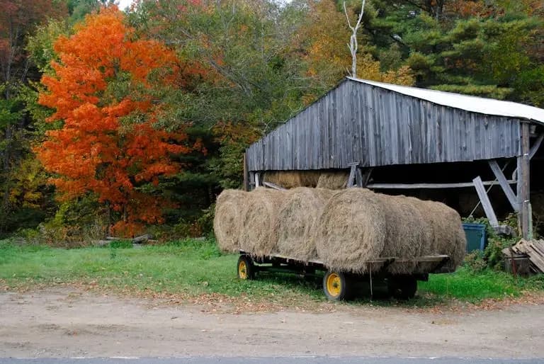 Patented Ag Product — business listing photograph.